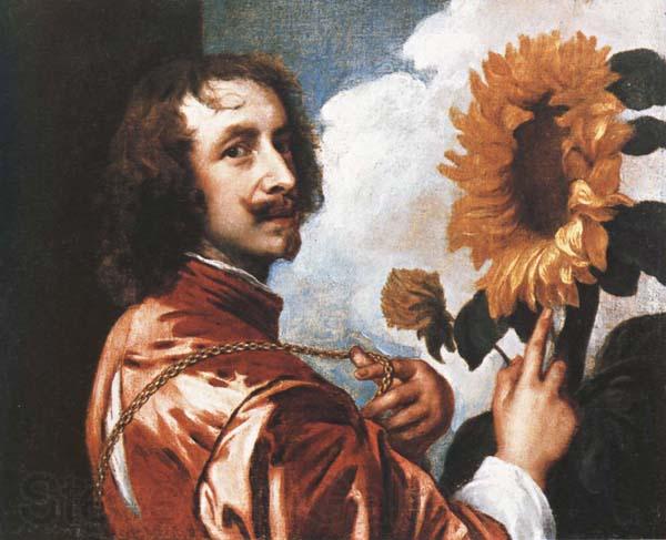 Anthony Van Dyck Self-Portrait with a Sunflower Germany oil painting art